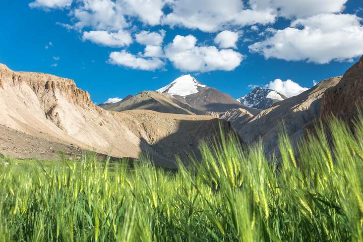 A Trek Through Ladakh's Markha Valley - image 9