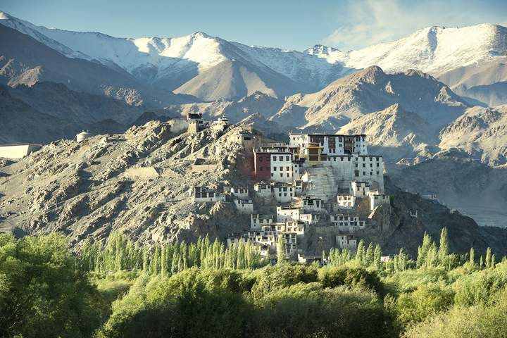 A Trek Through Ladakh's Markha Valley - image 10