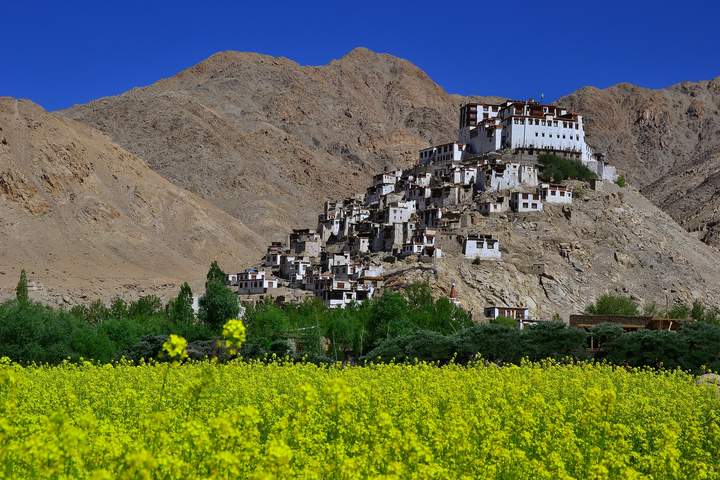 A Trek Through Ladakh's Markha Valley - image 2