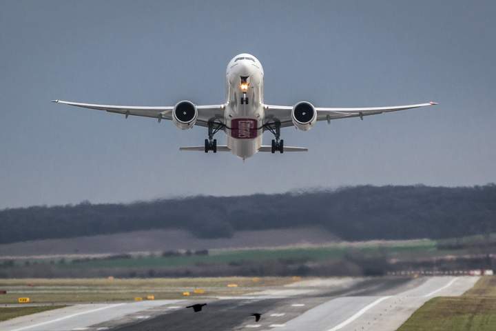 Discover Northern Costa Rica - image 10