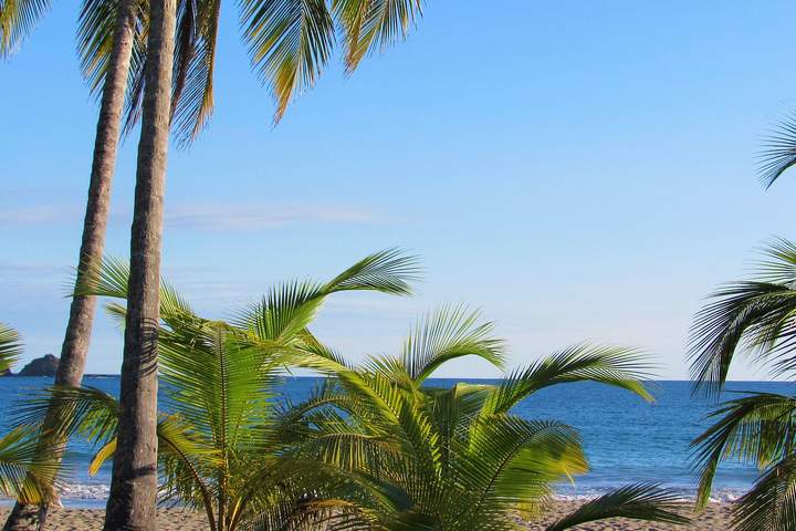 Discover Northern Costa Rica - image 6