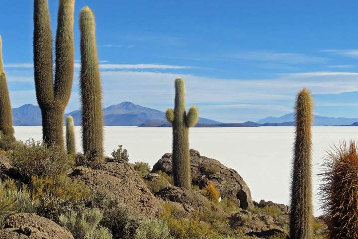 Highlights of Bolivia - image 4