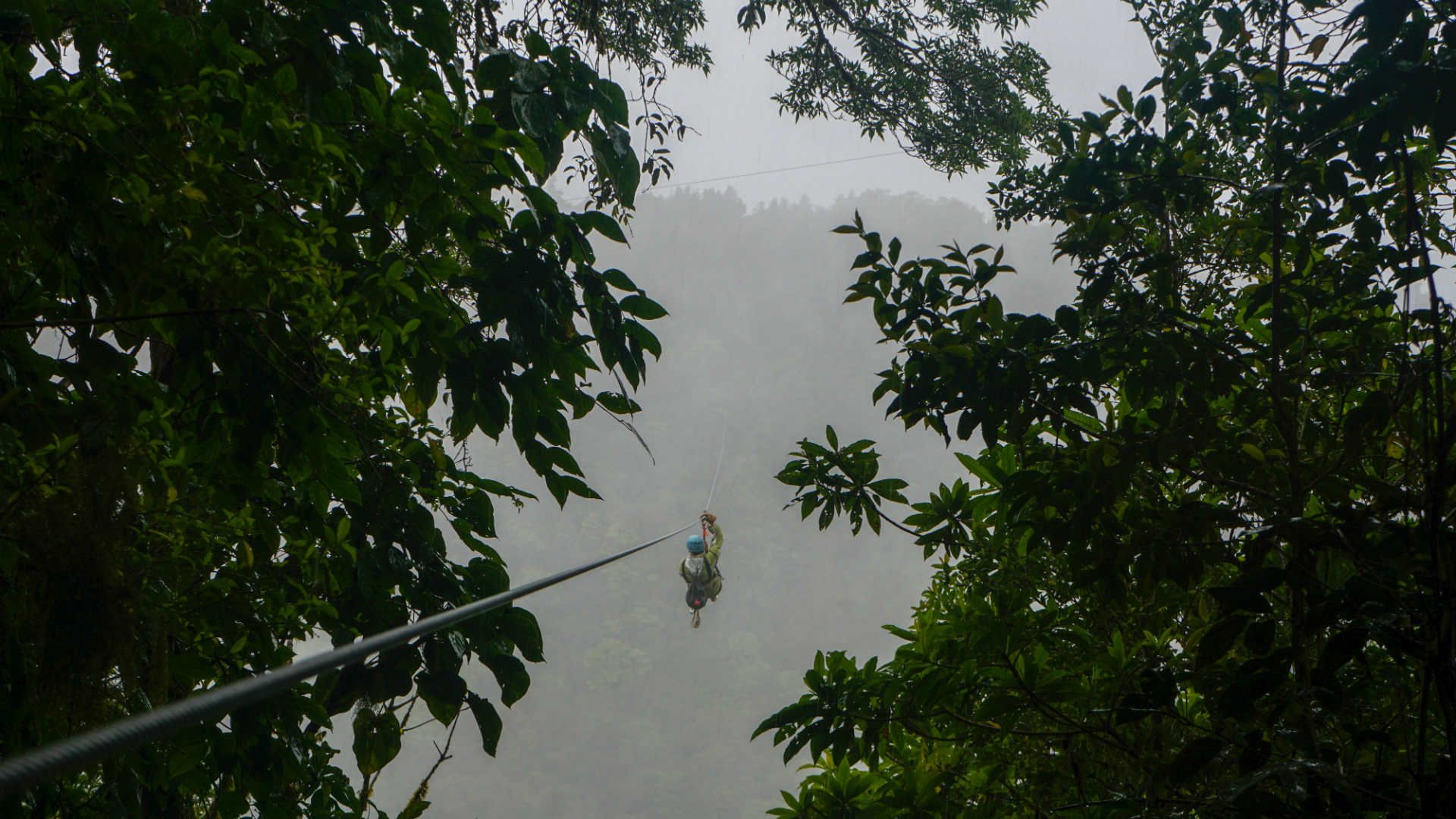 canopy-zipline-costa-rica-shutterstock_1033059343
