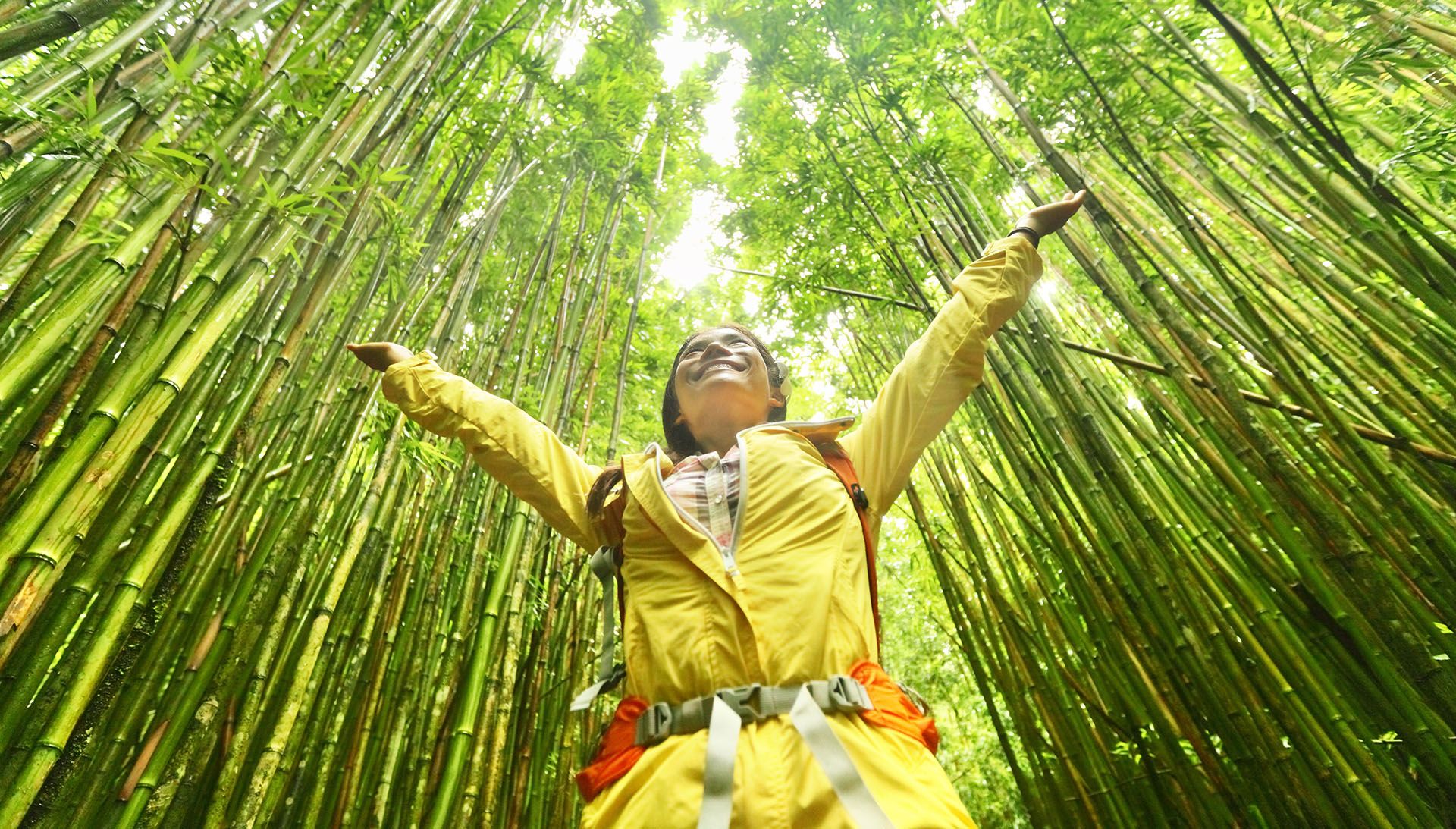 Hiker hiking on Pipiwai Trail on famous road to hana travel, Maui, Hawaii © Maridav/Shutterstock