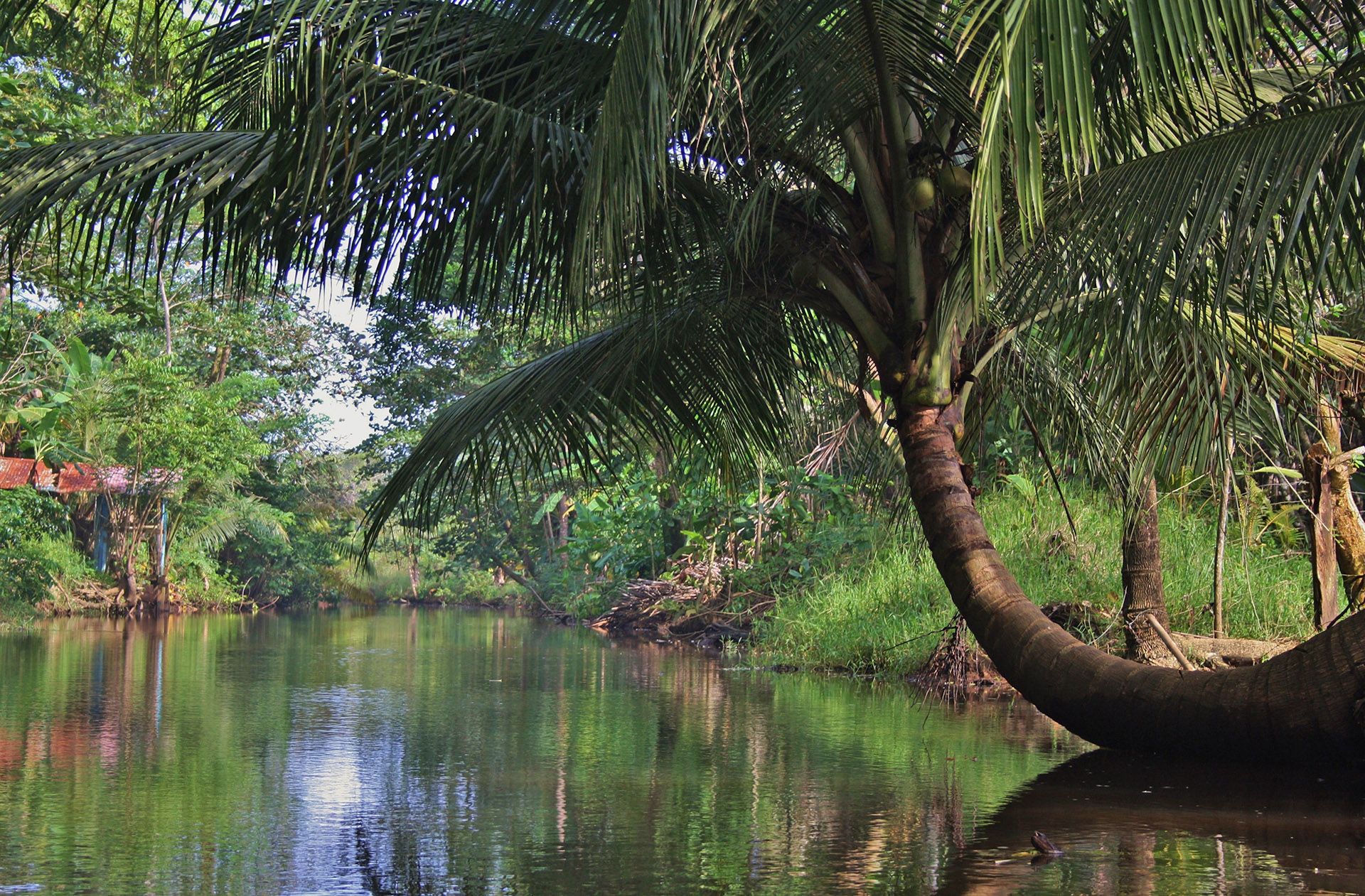 Sierpe River in Costa Rica © Shutterstock
