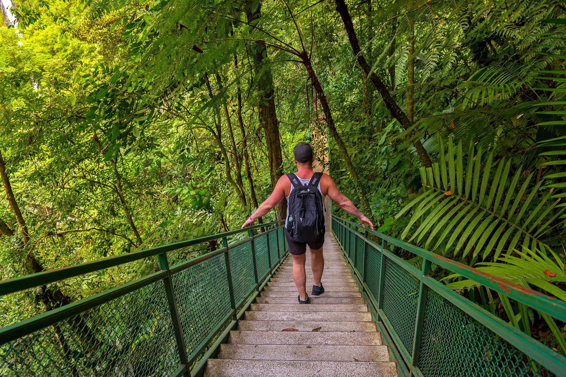 Arenal Hanging Bridges in Costa Rica © Shutterstock