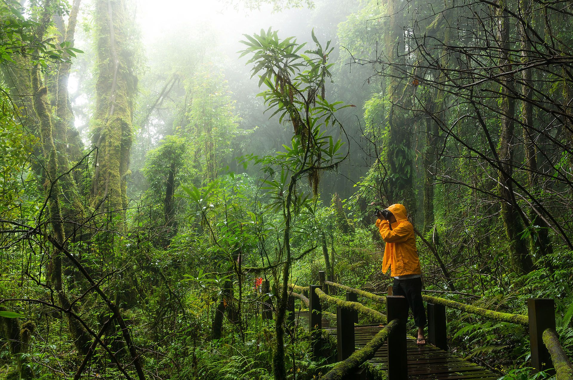 Traveller taking photo in rain forest in Thailand © TZIDO SUN/Shutterstock