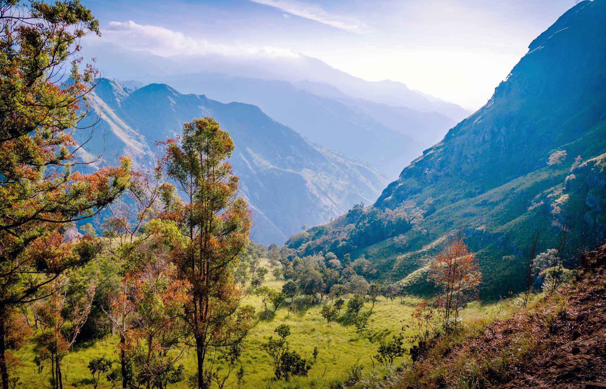 Colorful trees and stunning mountains views from Ella's Rock, Sri Lanka