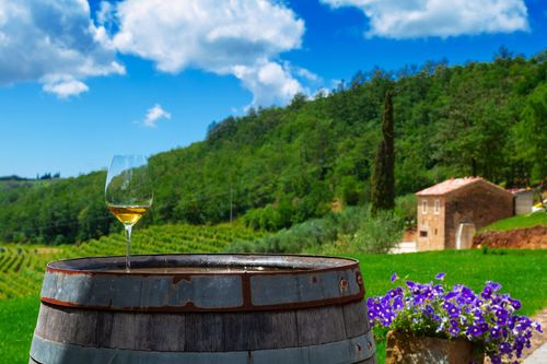 istrian-wine-tasting