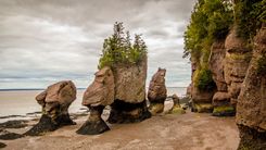 The Hopewell Rocks in the Bay of Fundy in New Brunswick, Canada © Shutterstock