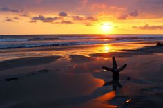 nosara-costa-rica-shutterstock_256906996