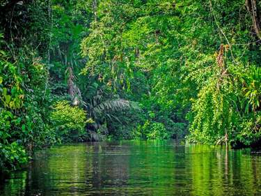 3 Days Adventure to Tortuguero
