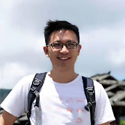 Desert Oaks with Uluru, Uluru National Park, Queensland, Australia