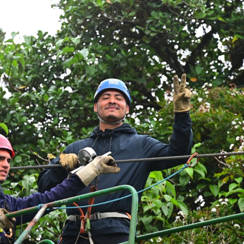 Local expert Makdiel